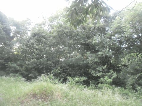 물건 사진 10