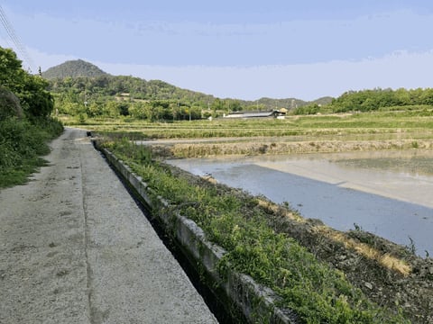 물건 사진 12