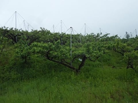 물건 사진 3