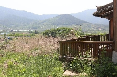 물건 사진 2