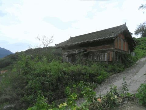 물건 사진 8