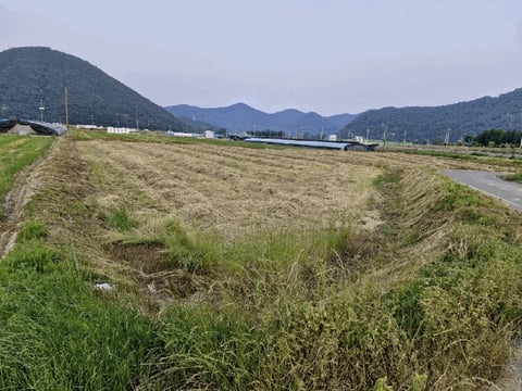 물건 사진 12