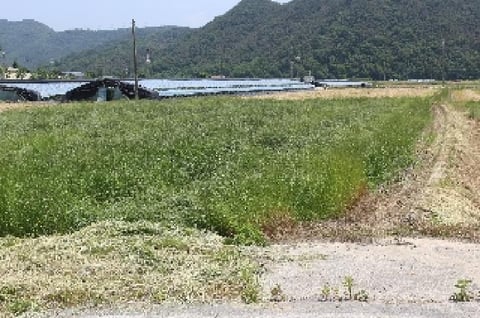 물건 사진 7