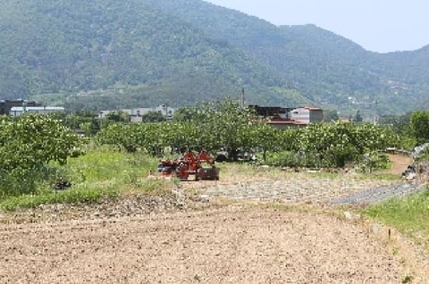 물건 사진 2