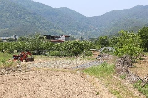 물건 사진 3