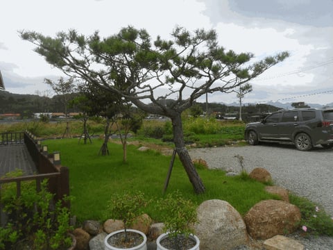 물건 사진 19