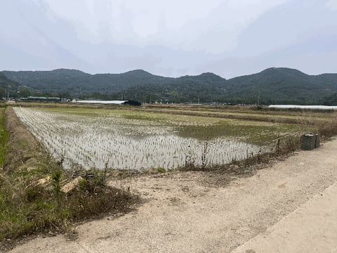 물건 사진 12