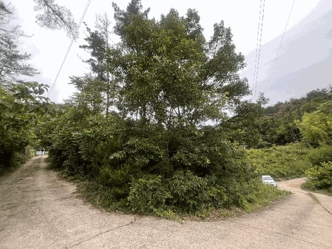 물건 사진 13