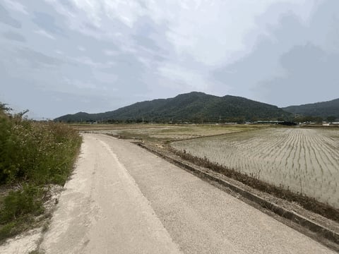 물건 사진 14