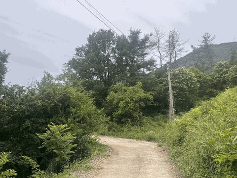 물건 사진 17