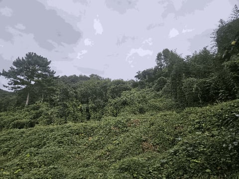 물건 사진 7