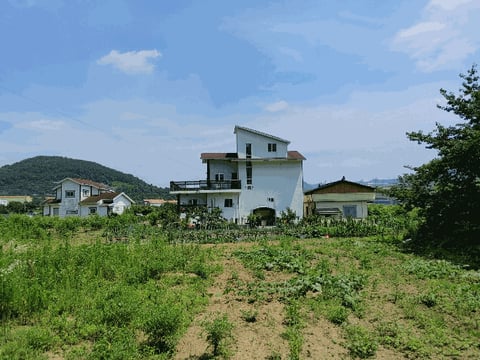 물건 사진 14