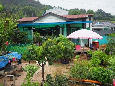물건 사진 4