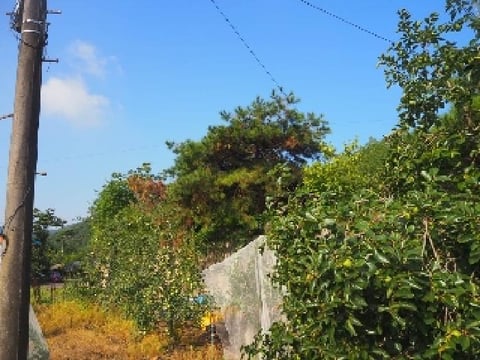 물건 사진 4