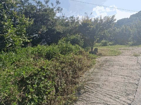물건 사진 8