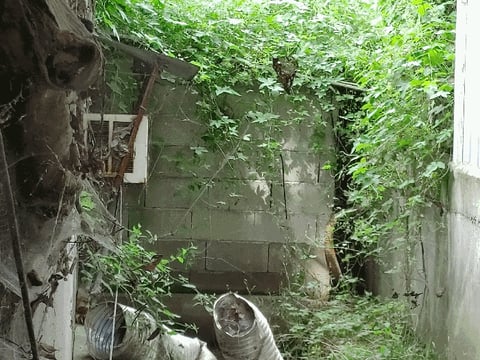 물건 사진 66