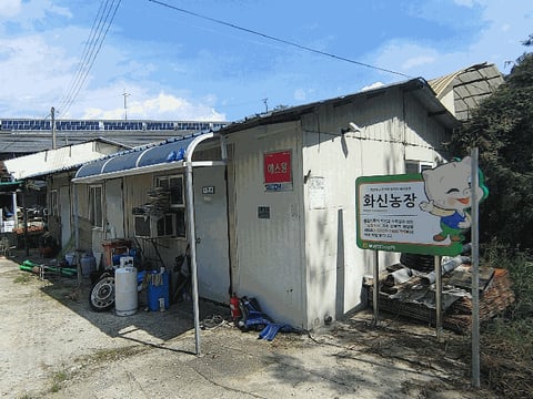 물건 사진 50