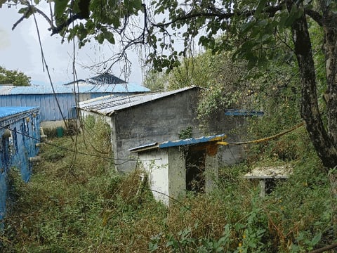 물건 사진 58