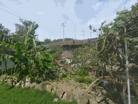 물건 사진 70