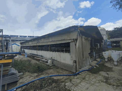 물건 사진 93