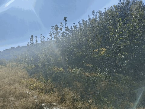 물건 사진 13