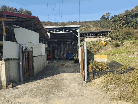 물건 사진 16