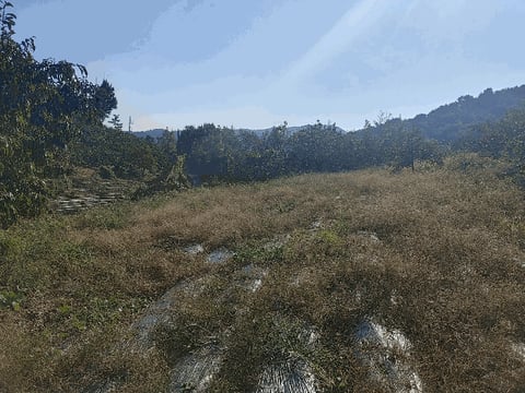 물건 사진 17