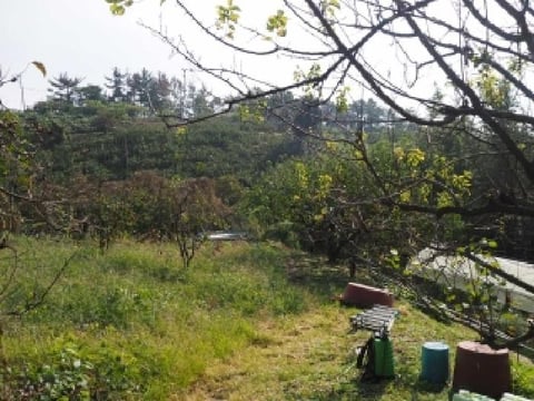 물건 사진 4