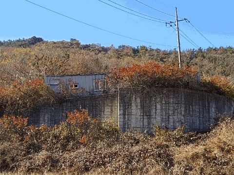 물건 사진 27
