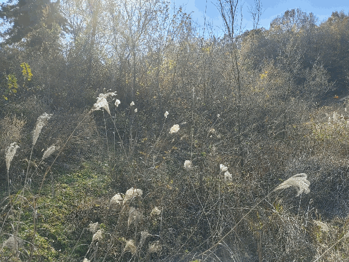 물건 사진 30