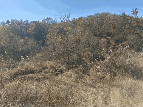 물건 사진 31