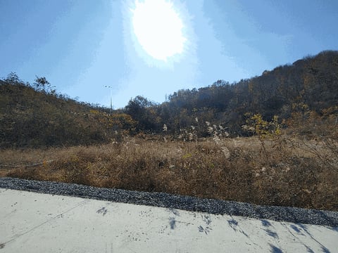 물건 사진 32