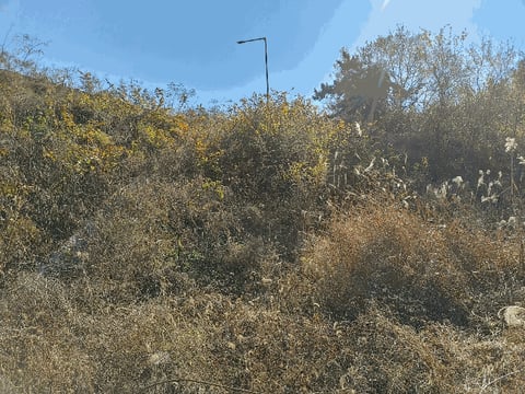 물건 사진 39