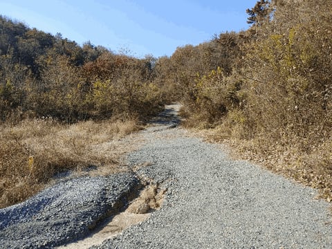 물건 사진 40