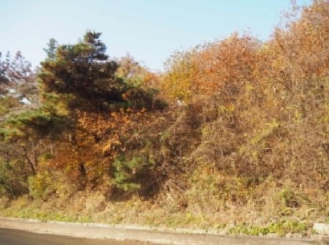 물건 사진 5