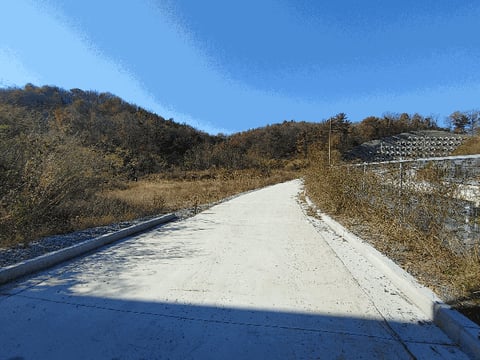 물건 사진 41