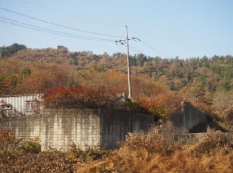 물건 사진 10