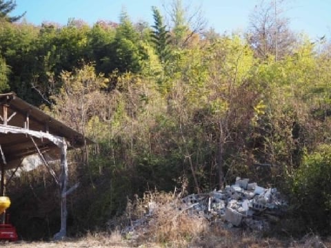 물건 사진 5