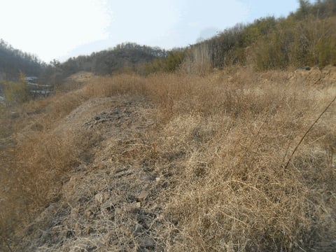 물건 사진 7