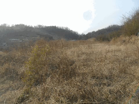물건 사진 8