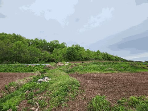 물건 사진 12