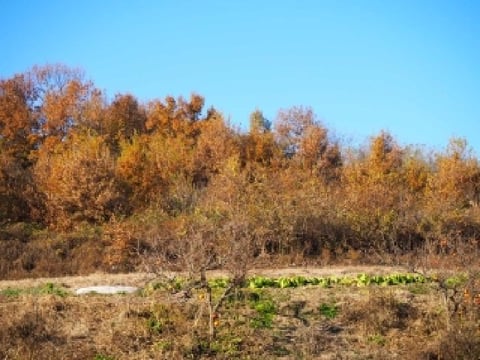 물건 사진 5