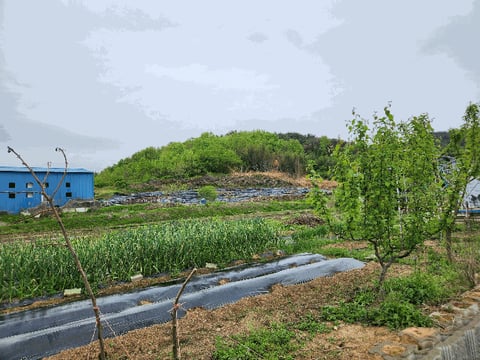 물건 사진 10