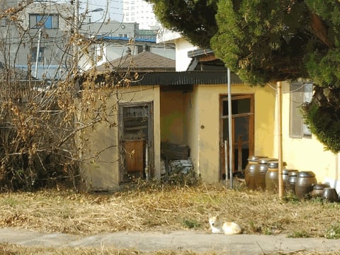 물건 사진 12