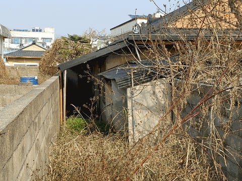 물건 사진 16
