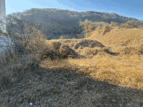 물건 사진 26