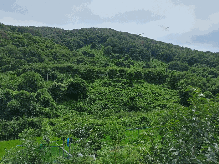 물건 사진 12