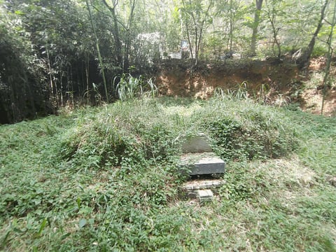 물건 사진 15