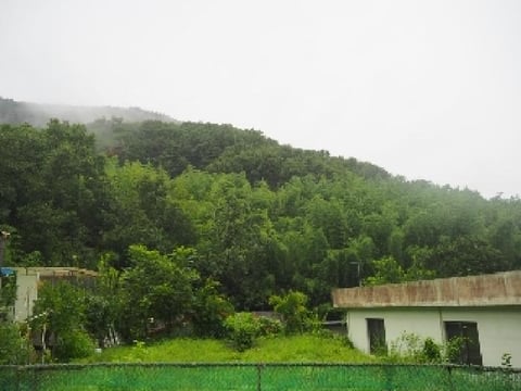 물건 사진 4