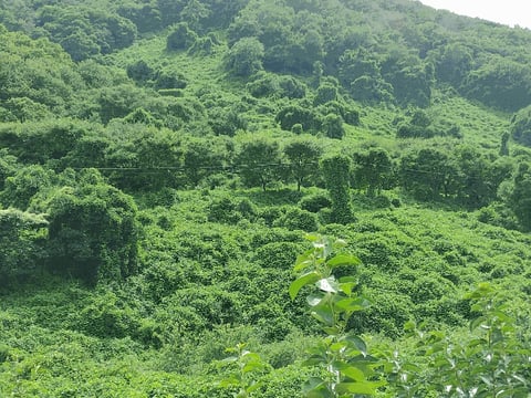 물건 사진 10